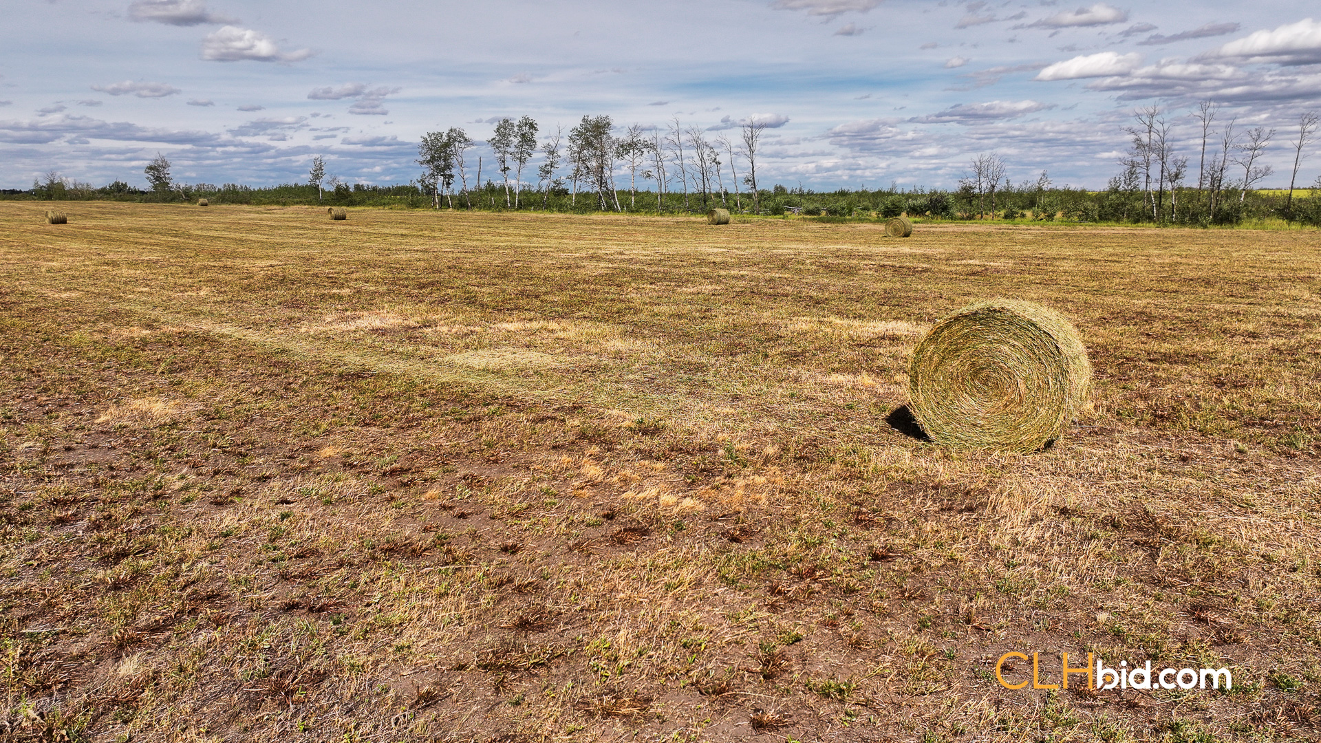 Web Ronald Koistinen-6
