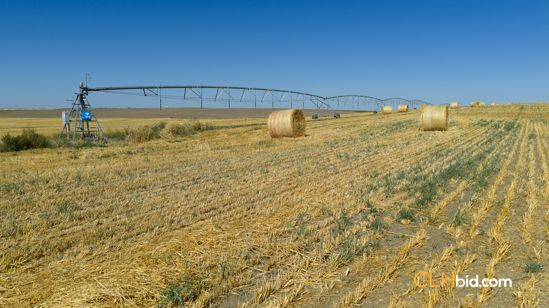 Web-MegaFortyMile-56