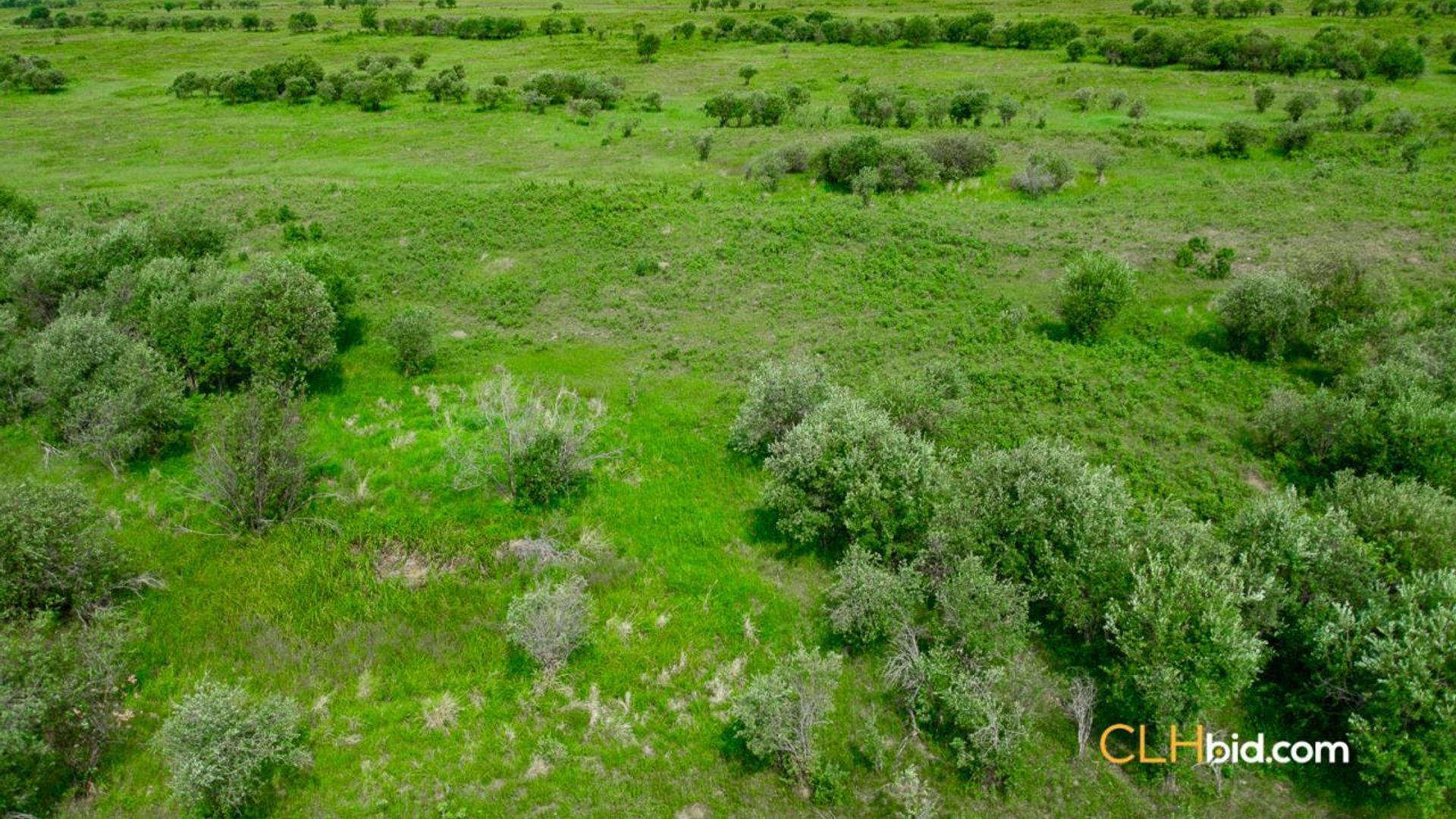 cattledrivecountry-5-3