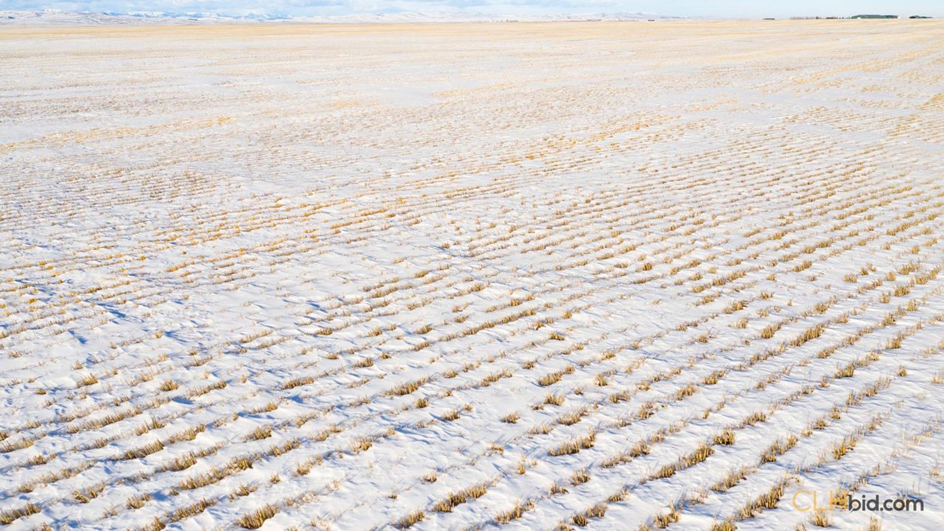 curbsideontheeconomiccorridor-1-5