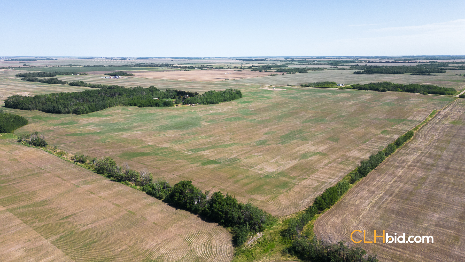 Web Dunvegan Fields-6