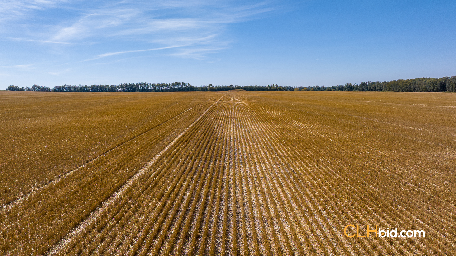 Web-Tisdale-Titan-11