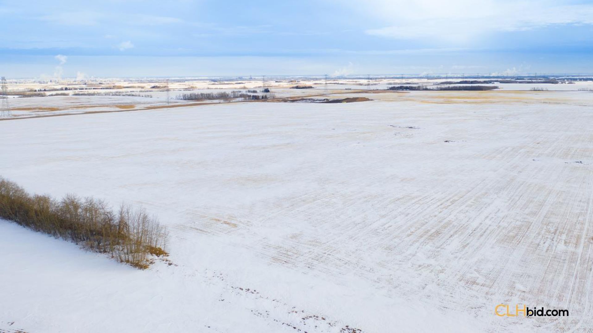 emeraldatgibbons-1-7