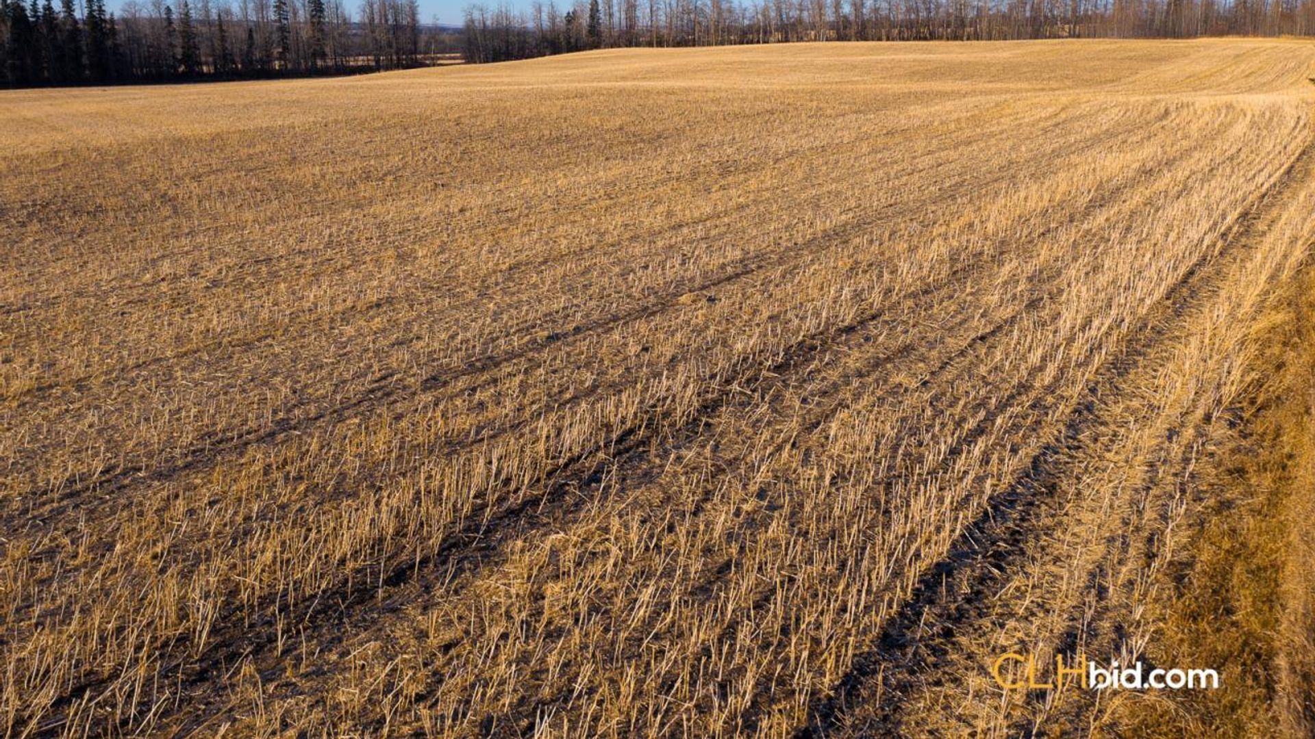 bentleycontinentalv8-5-4