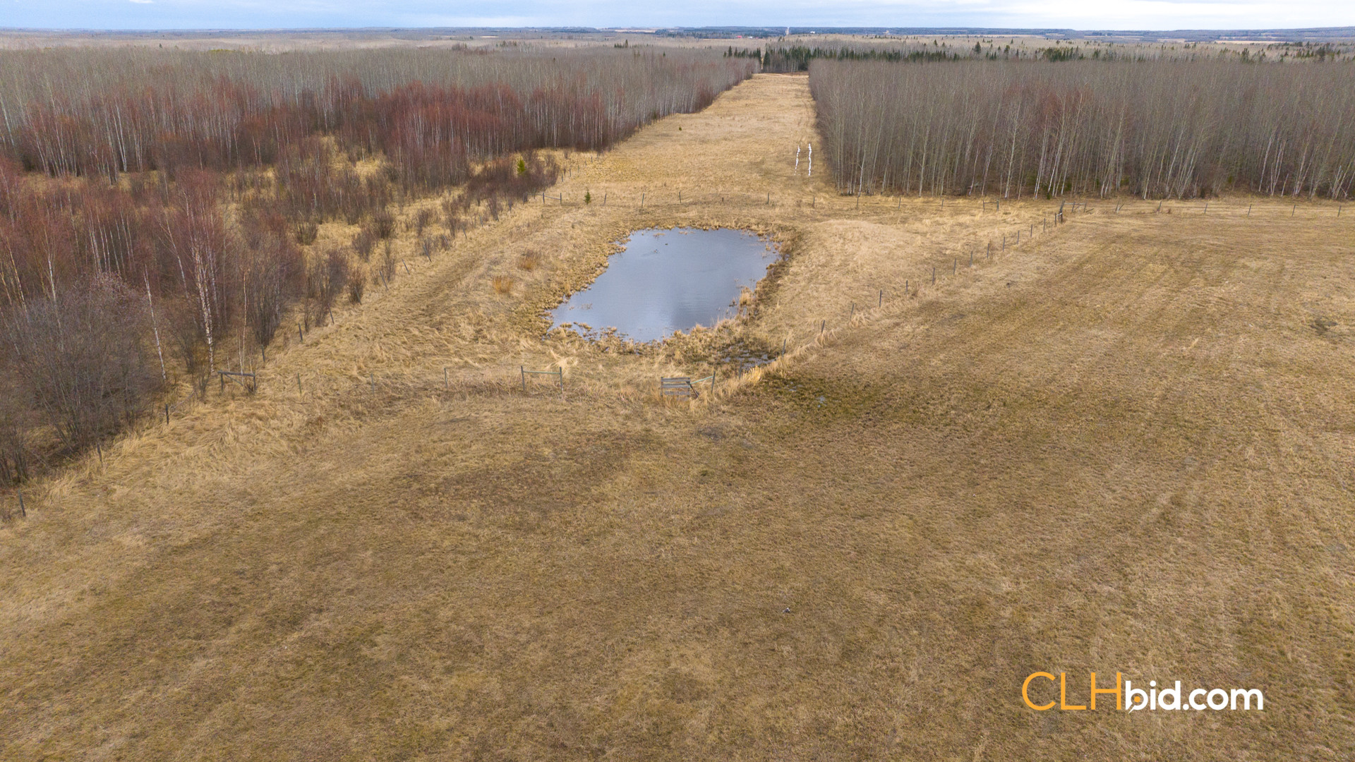 Web-RanchersChoice-15