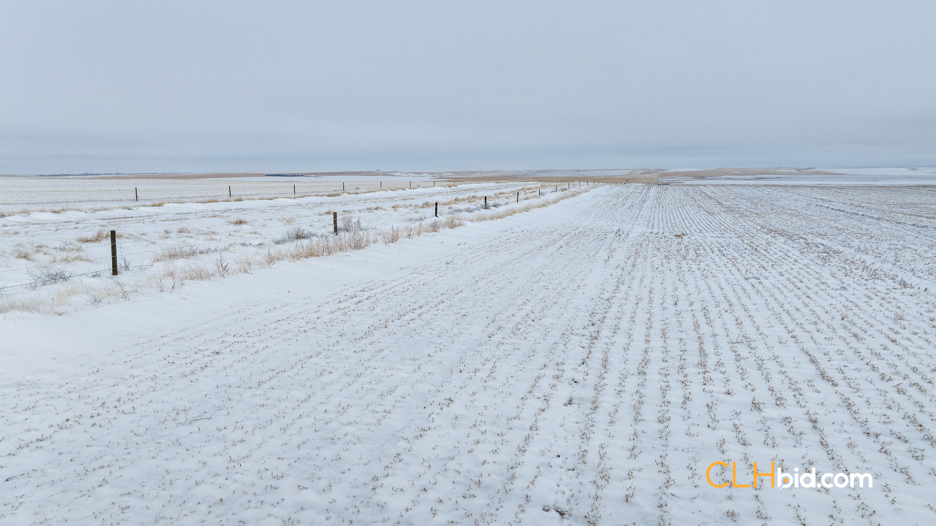 Web-Hazenmore-On-My-Mind-13