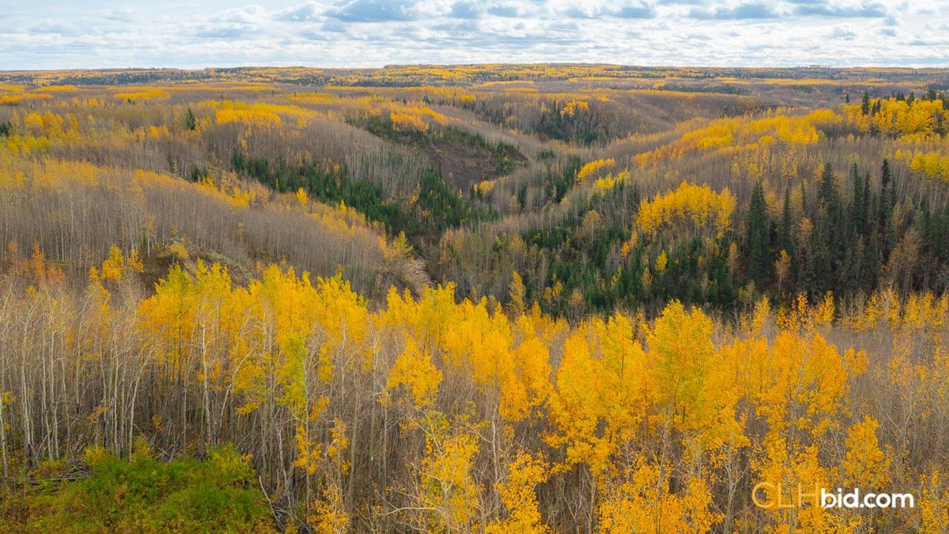 theranchonbradenroad-2-8