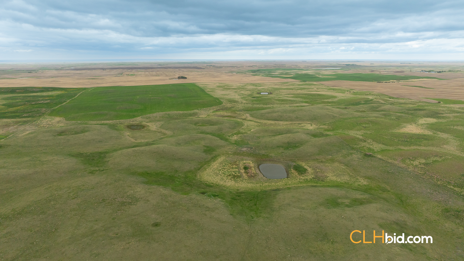 Web-LegacyMoveNEW-45