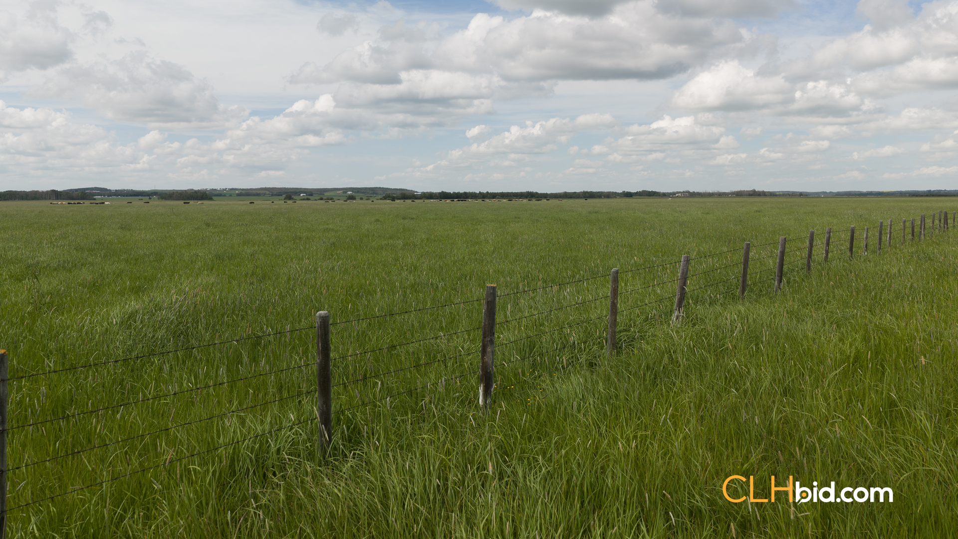 Web-SylvanLakeCountry-5