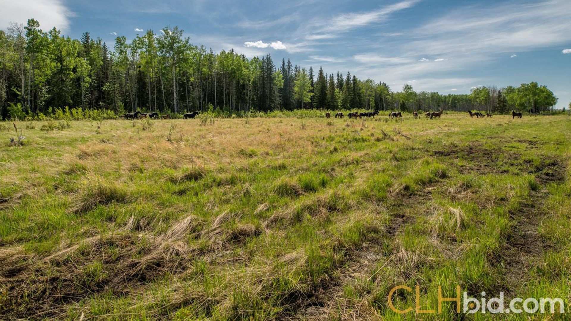 silvervalleygold-2-2