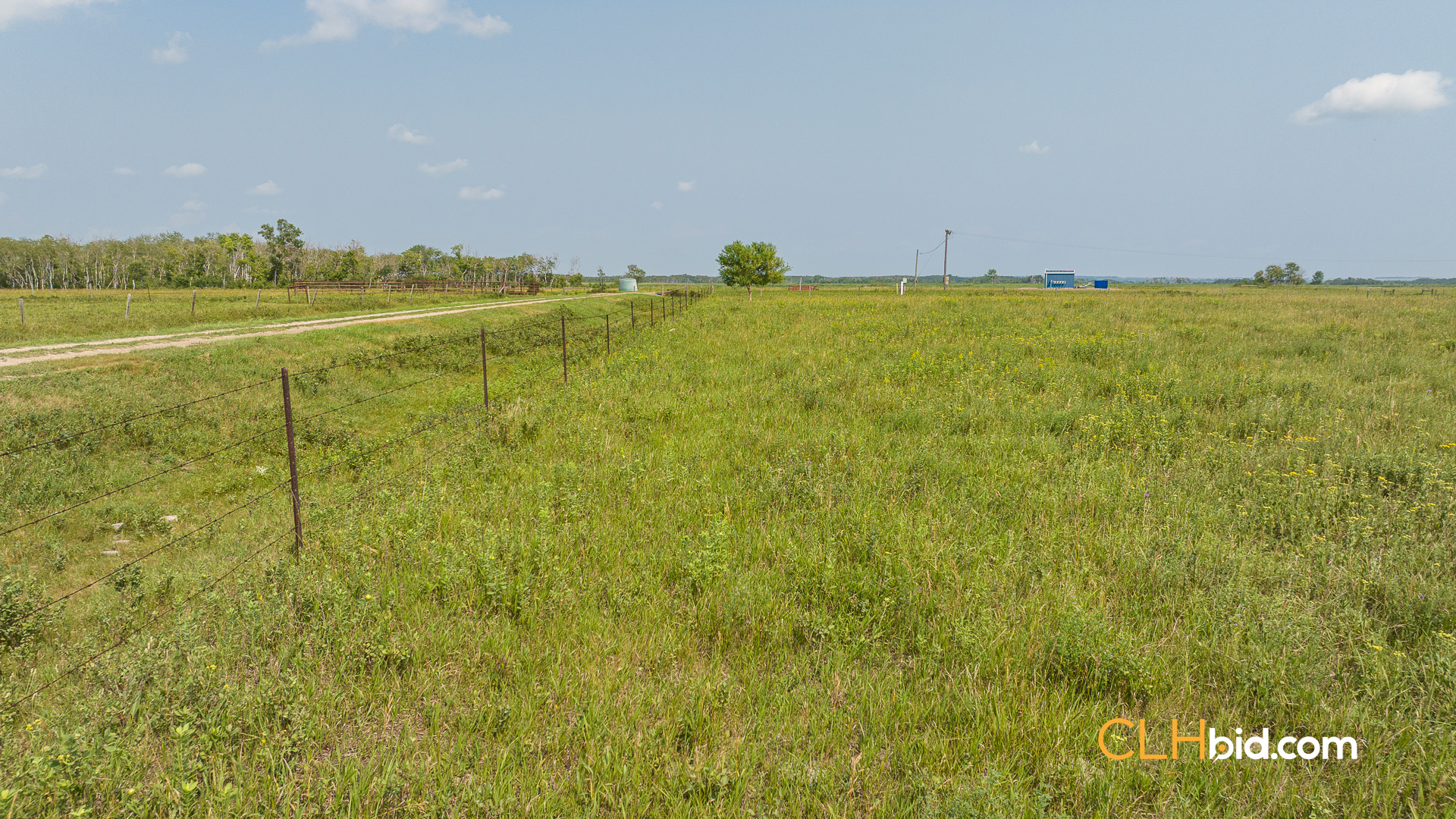 Web-Virden-Select-31