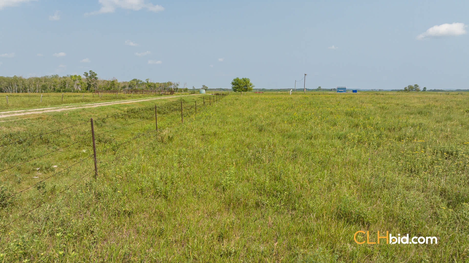 Web-Virden-Select-31