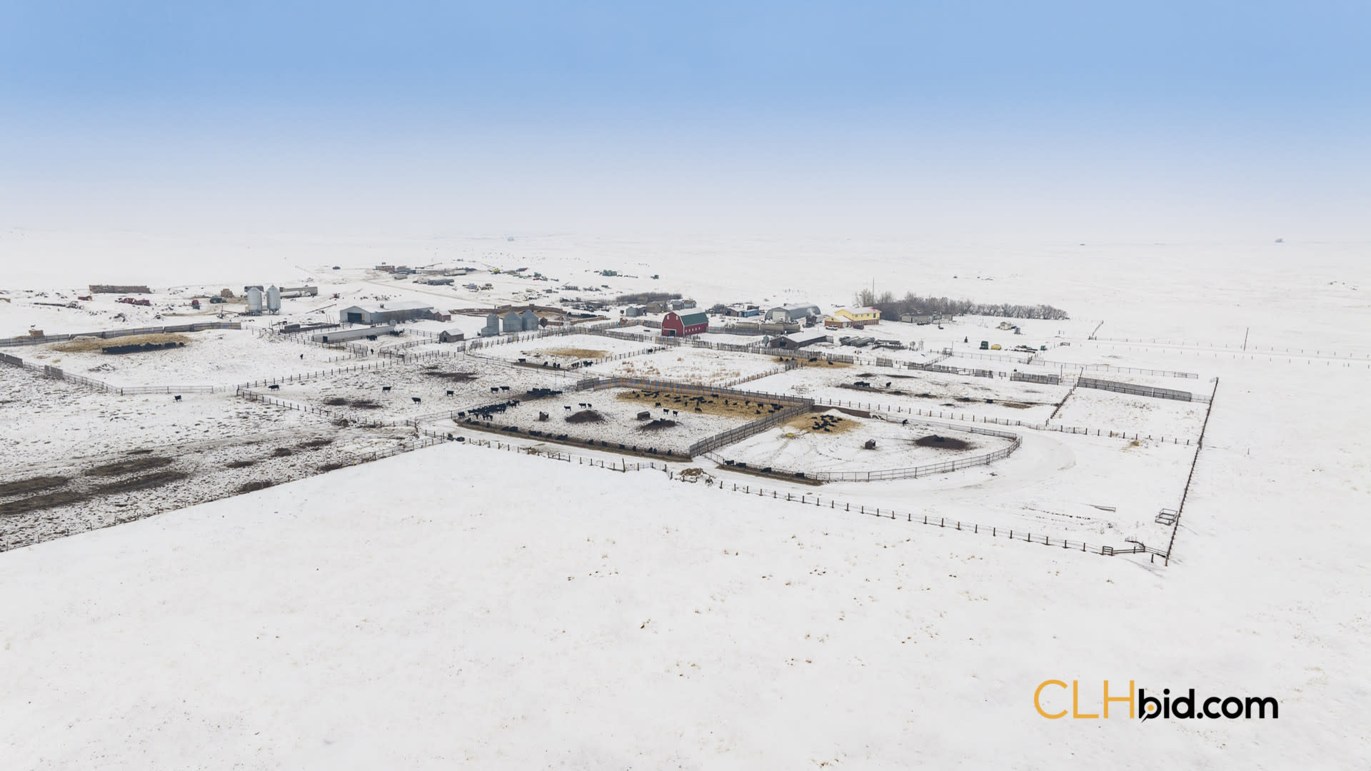 P1 Web169-AcresOfPedigree-50