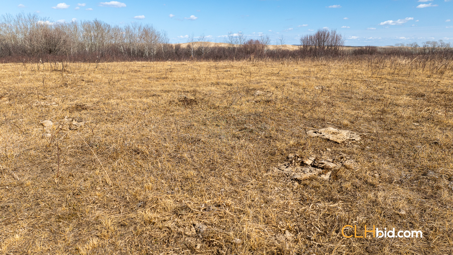 Web-VermilionSiesta-13