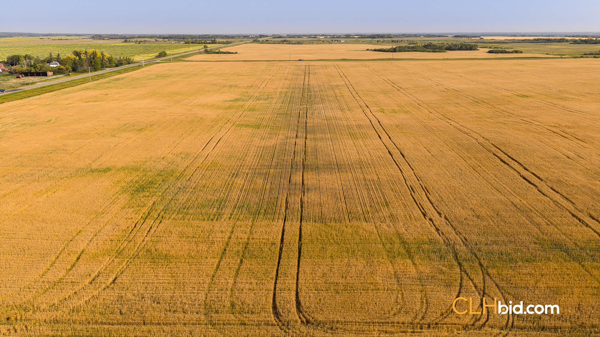View from above of Ross Creek Prospector