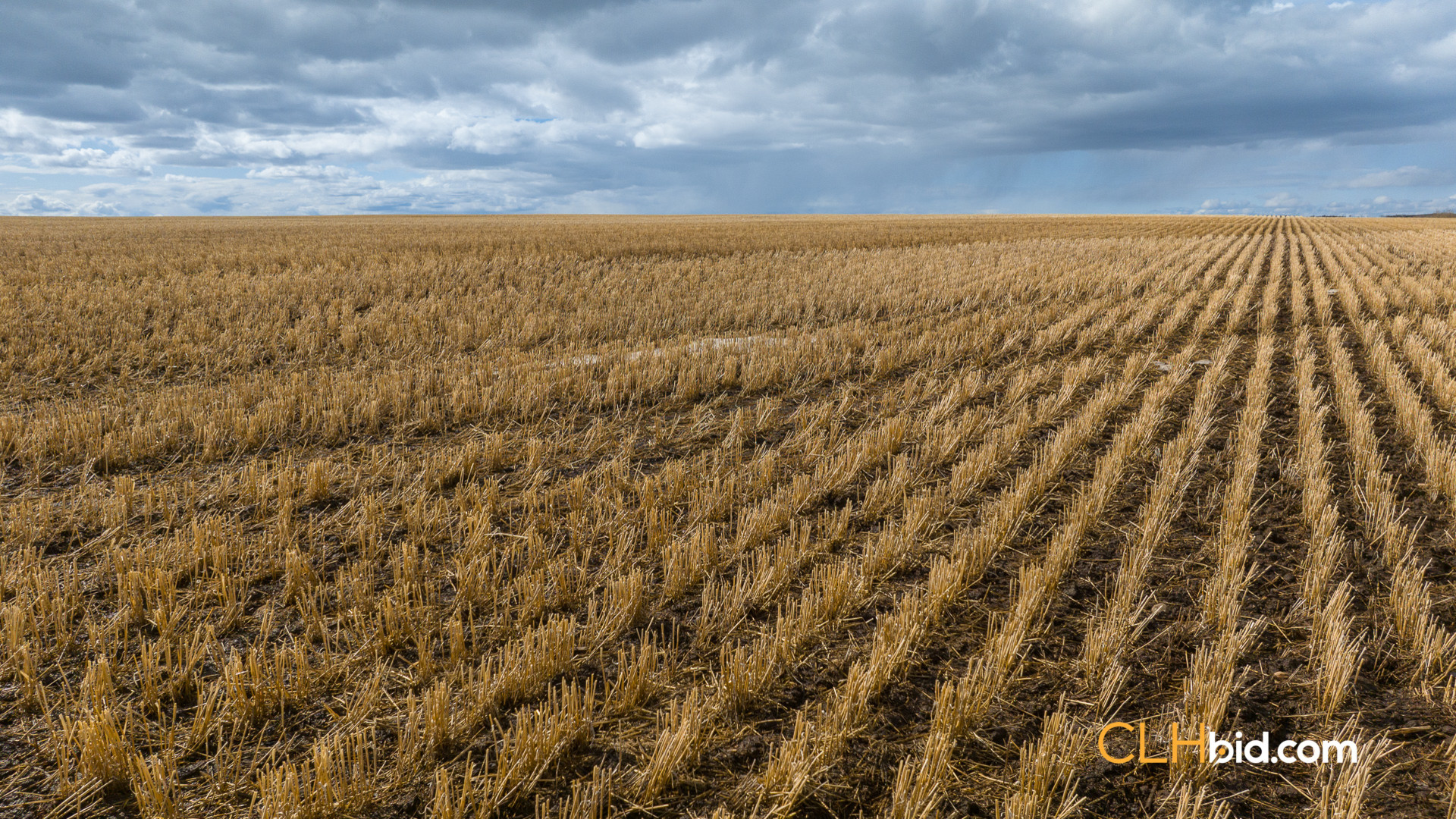 Web-RollaHomestead-8