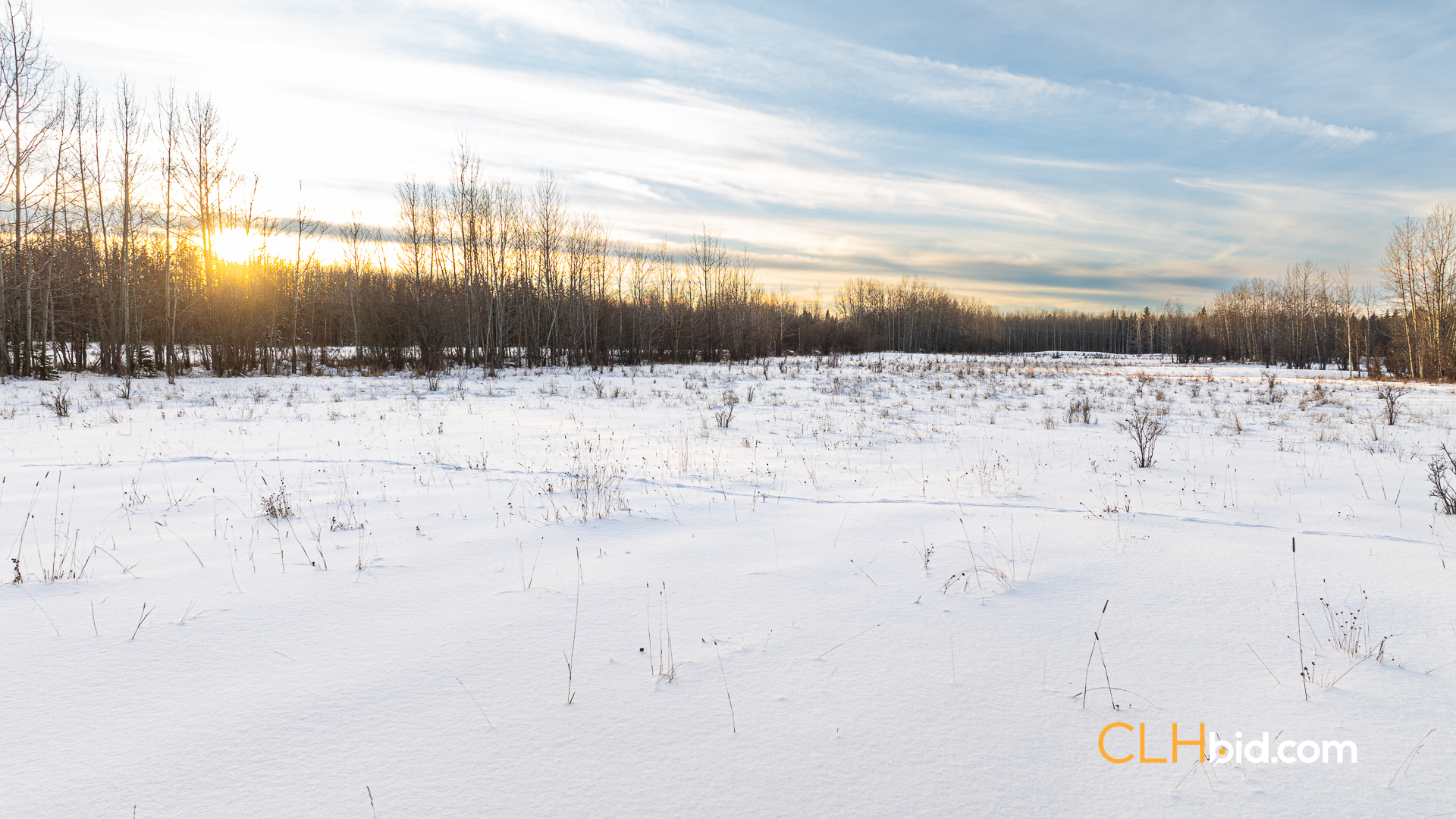 Web169-AcresOfPedigree-4