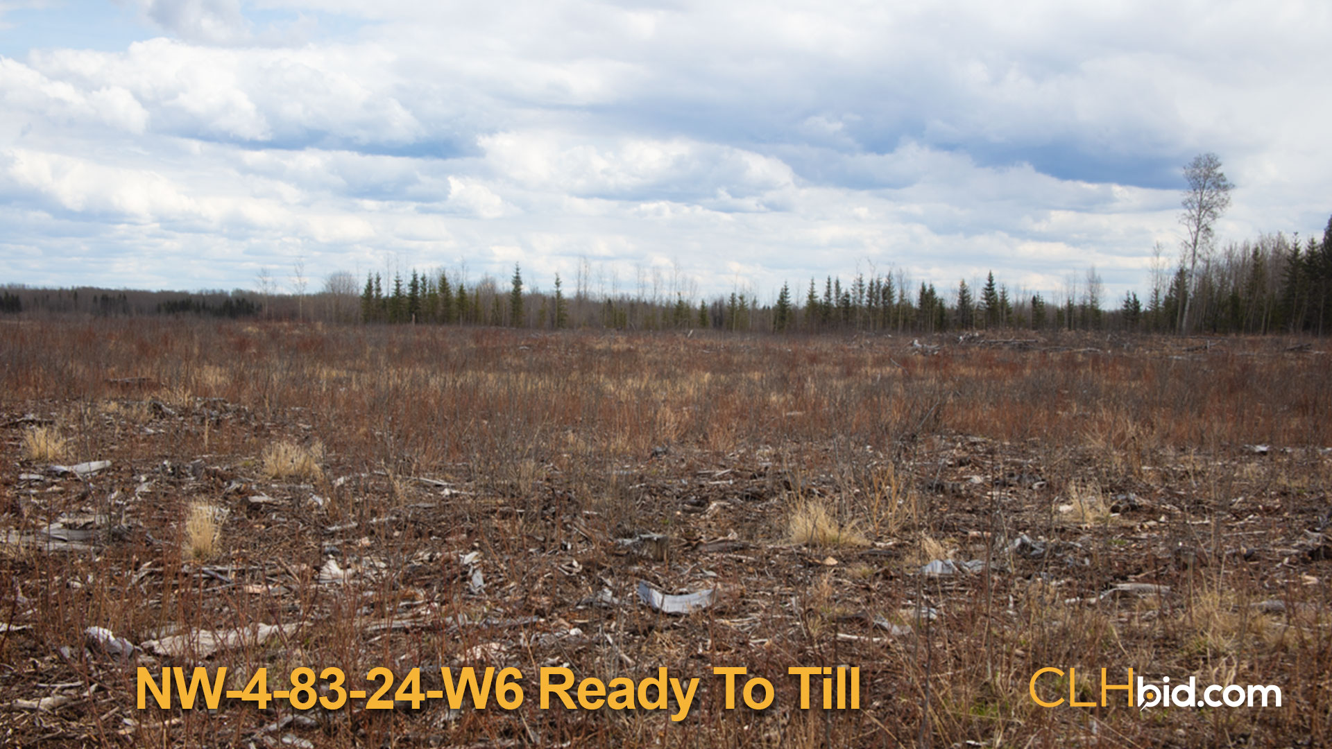 8132-NW-4-Ready-To-Till