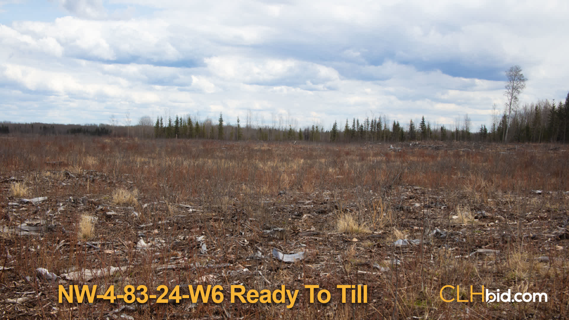 8132-NW-4-Ready-To-Till
