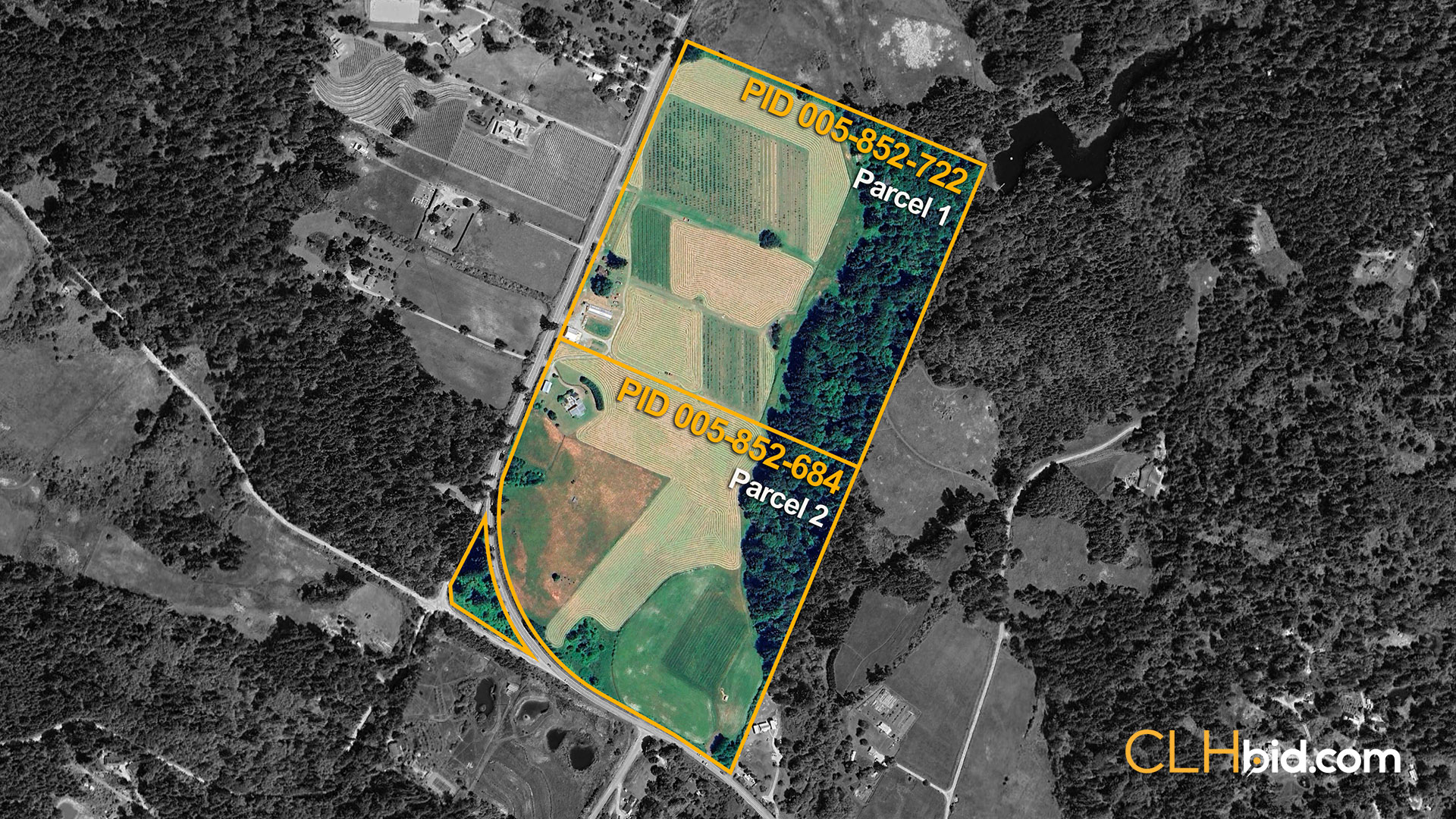 The Olive Farm OVERVIEW