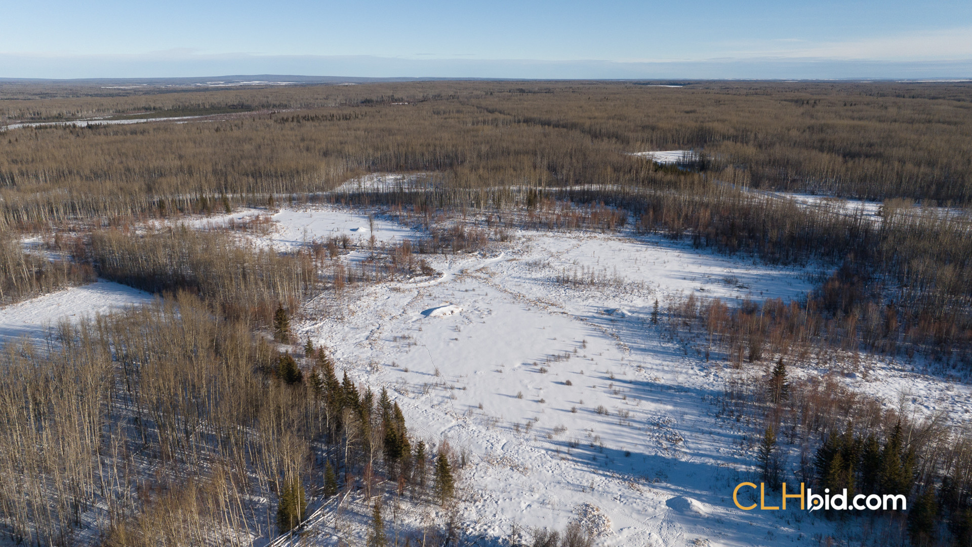 SummerCowCamp-WebWide-2