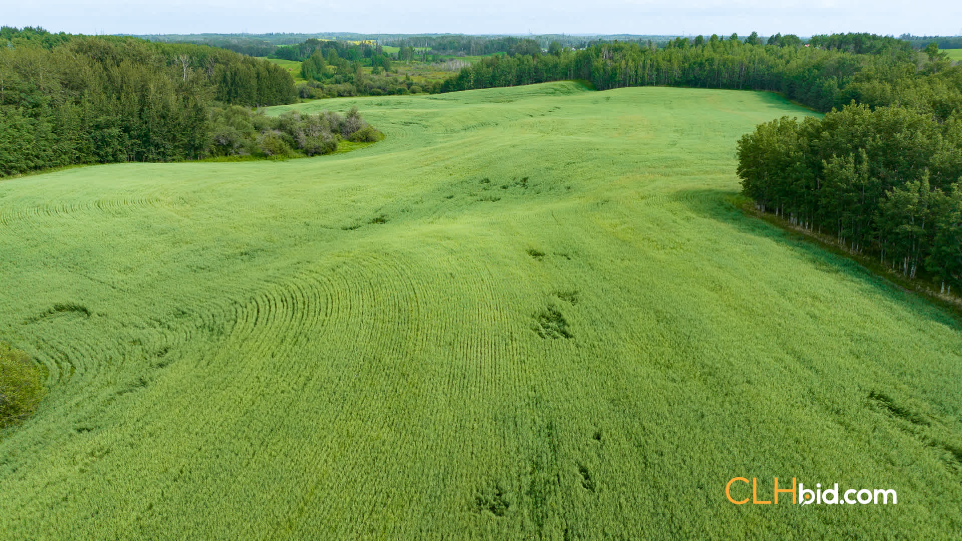 View from above of Brightbank Country Comfort