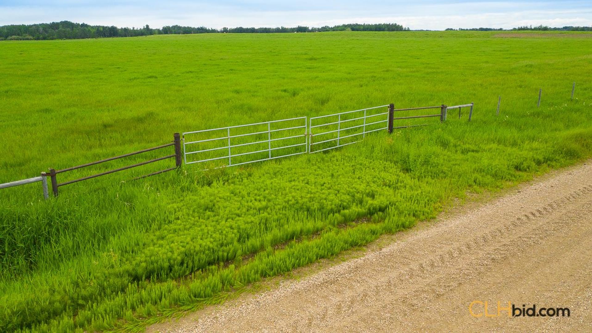 warburgdoubletree-2-14