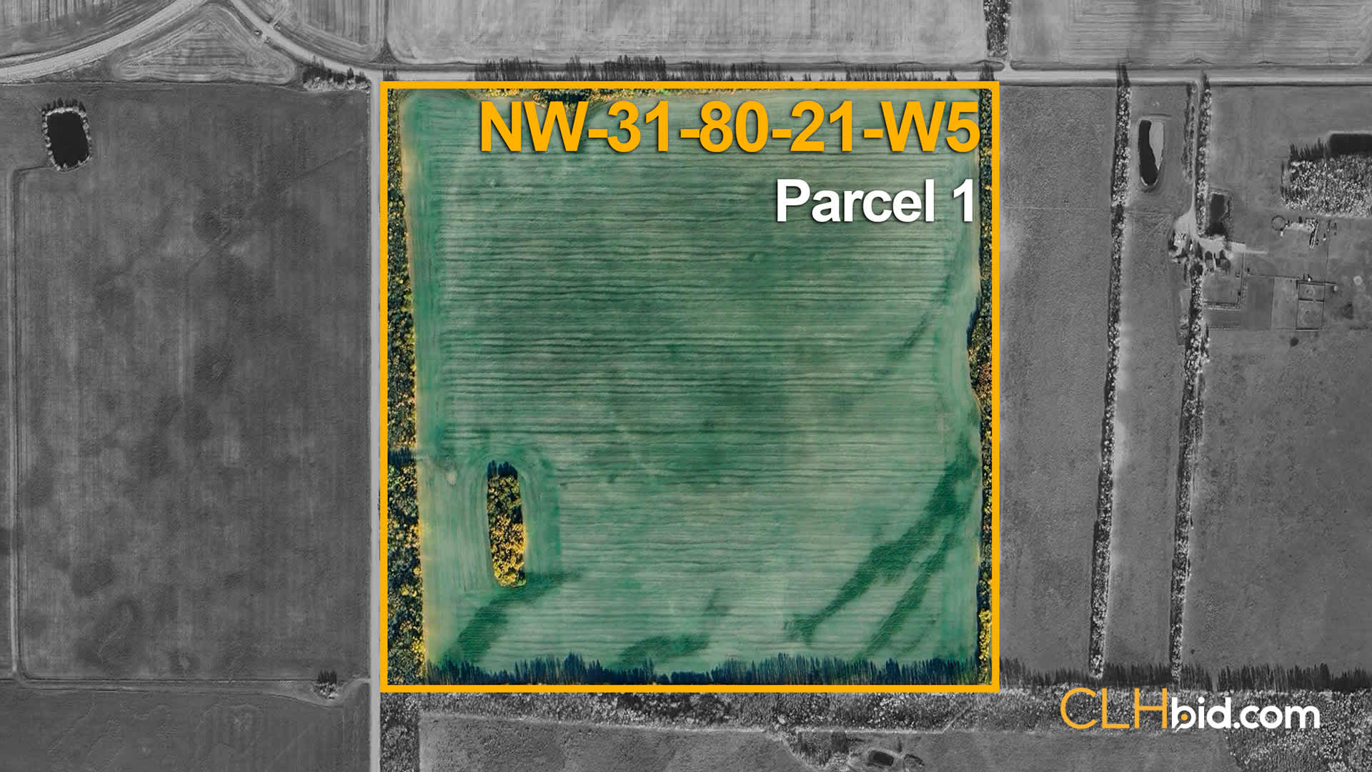 P1-NW-31-80-21-W5