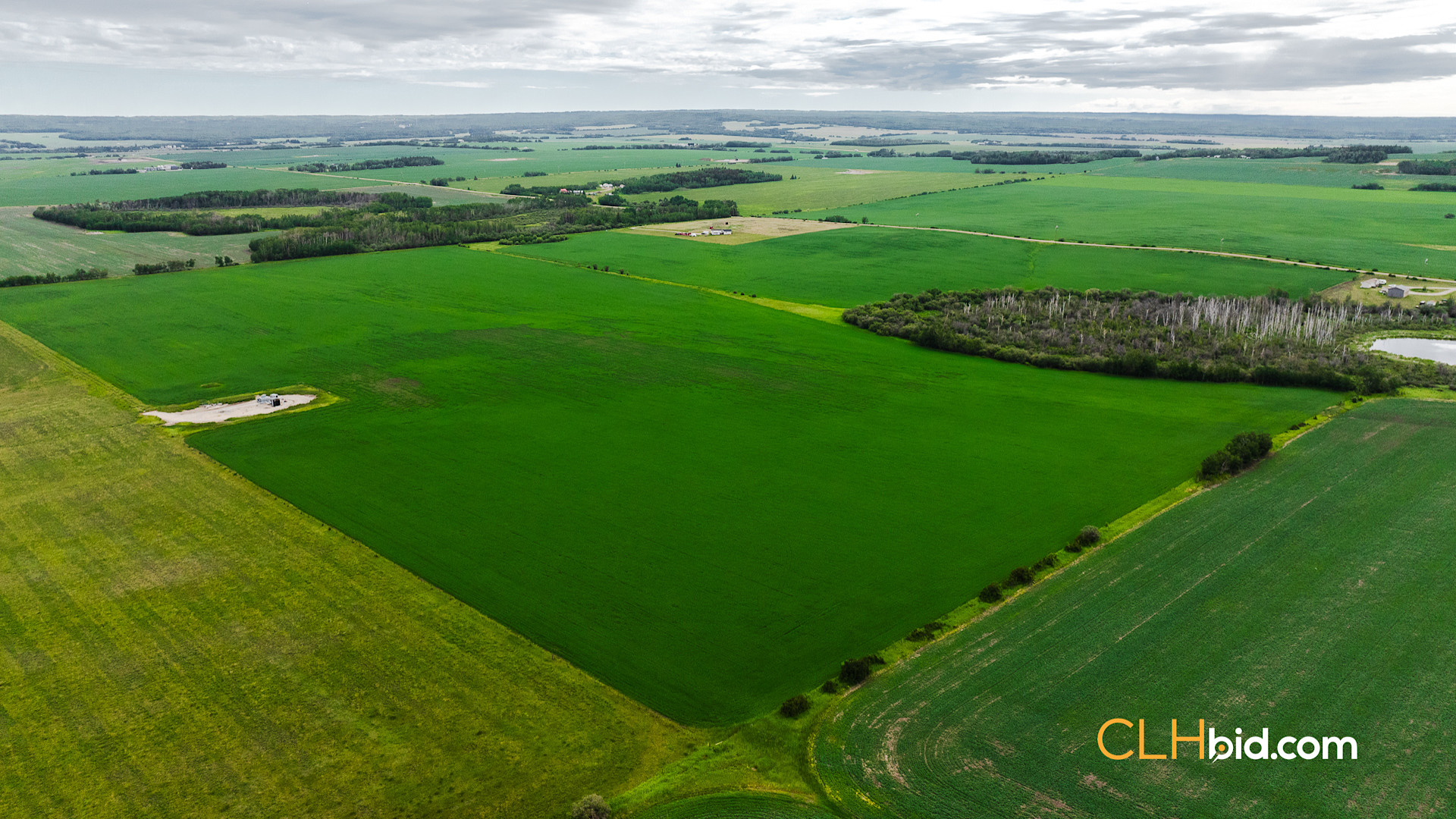 Web Triple Off Hwy 59-2