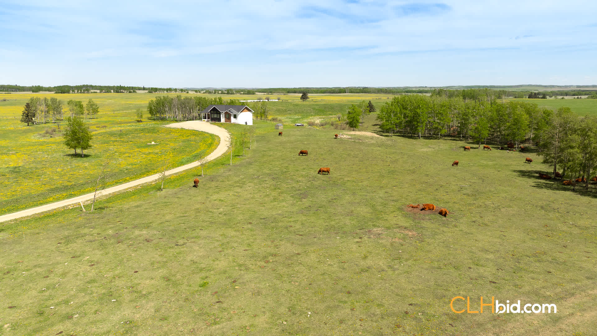 View from above of Cochrane Dynasty