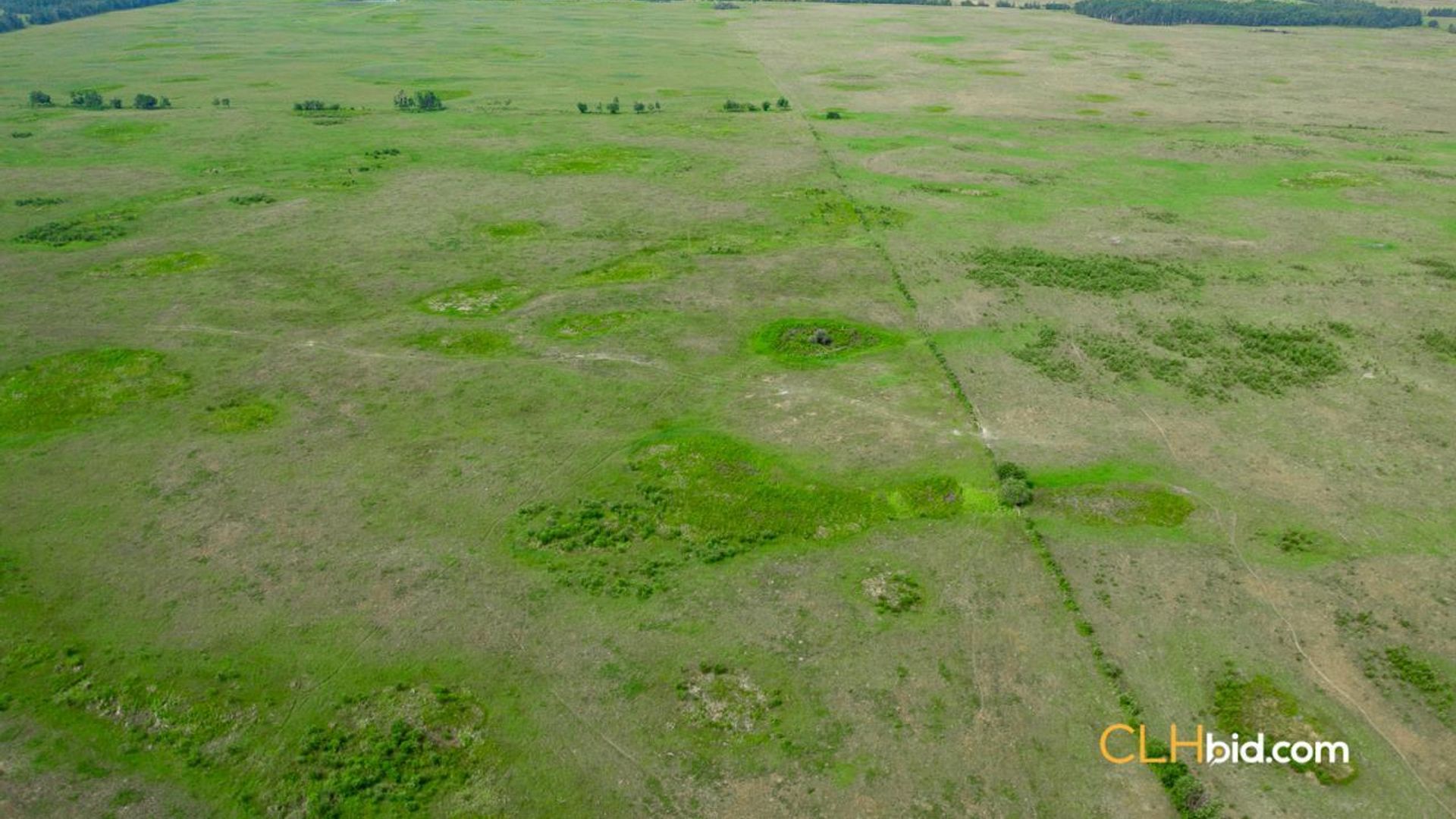 cattledrivecountry-3-3