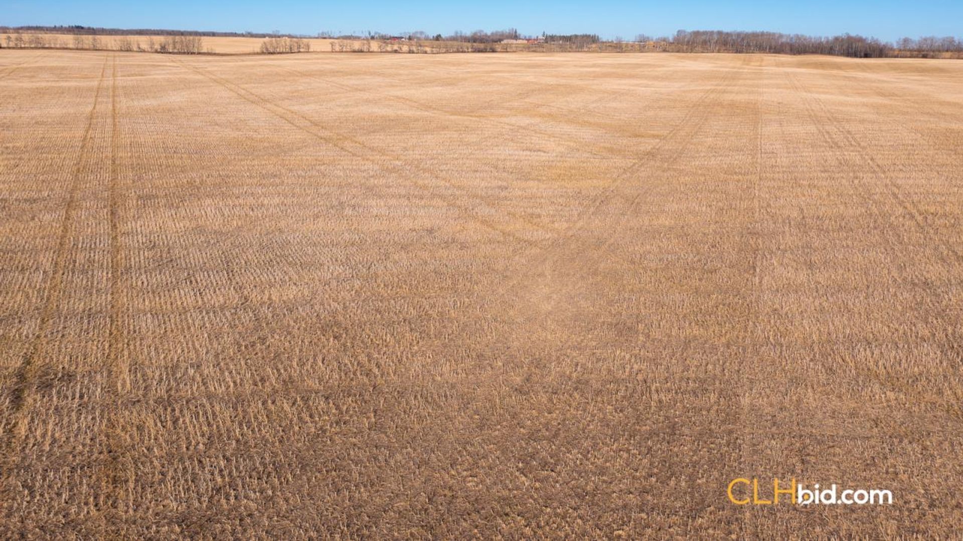 bentleycontinentalv8-1-5