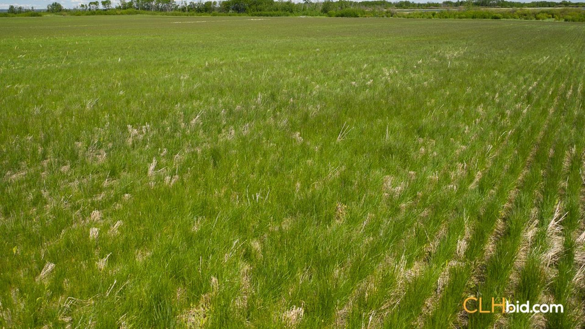 bigskymountainview-7-6