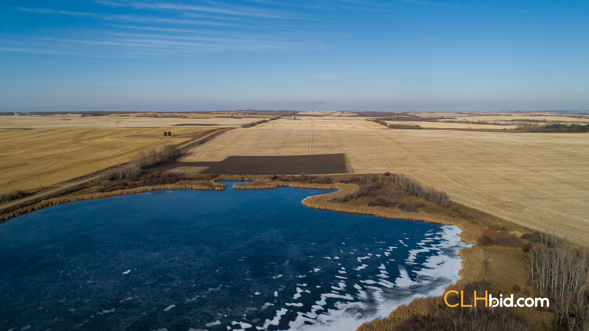 Web-Nine-Of-Diamonds-4