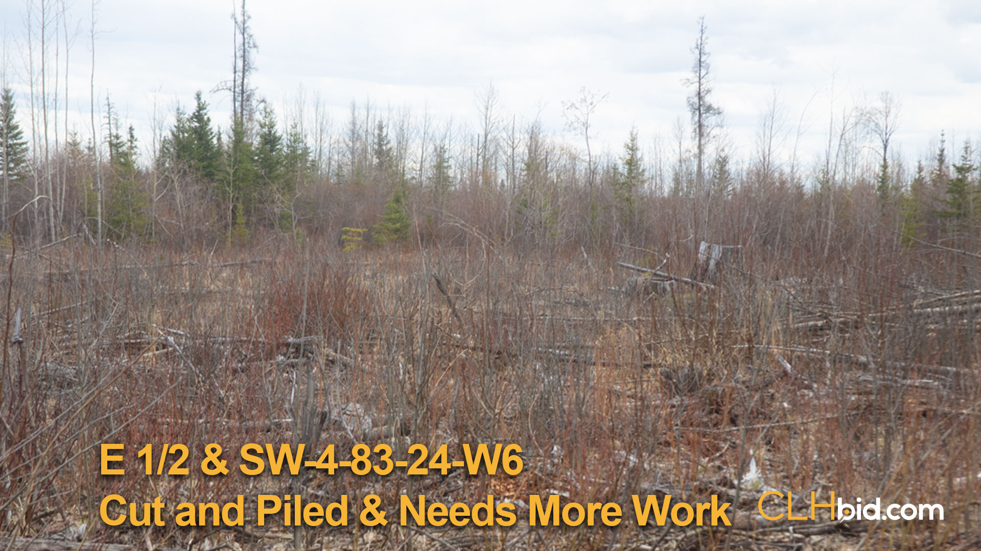 8135-EH-&-SW-4-Cut-&-Piled