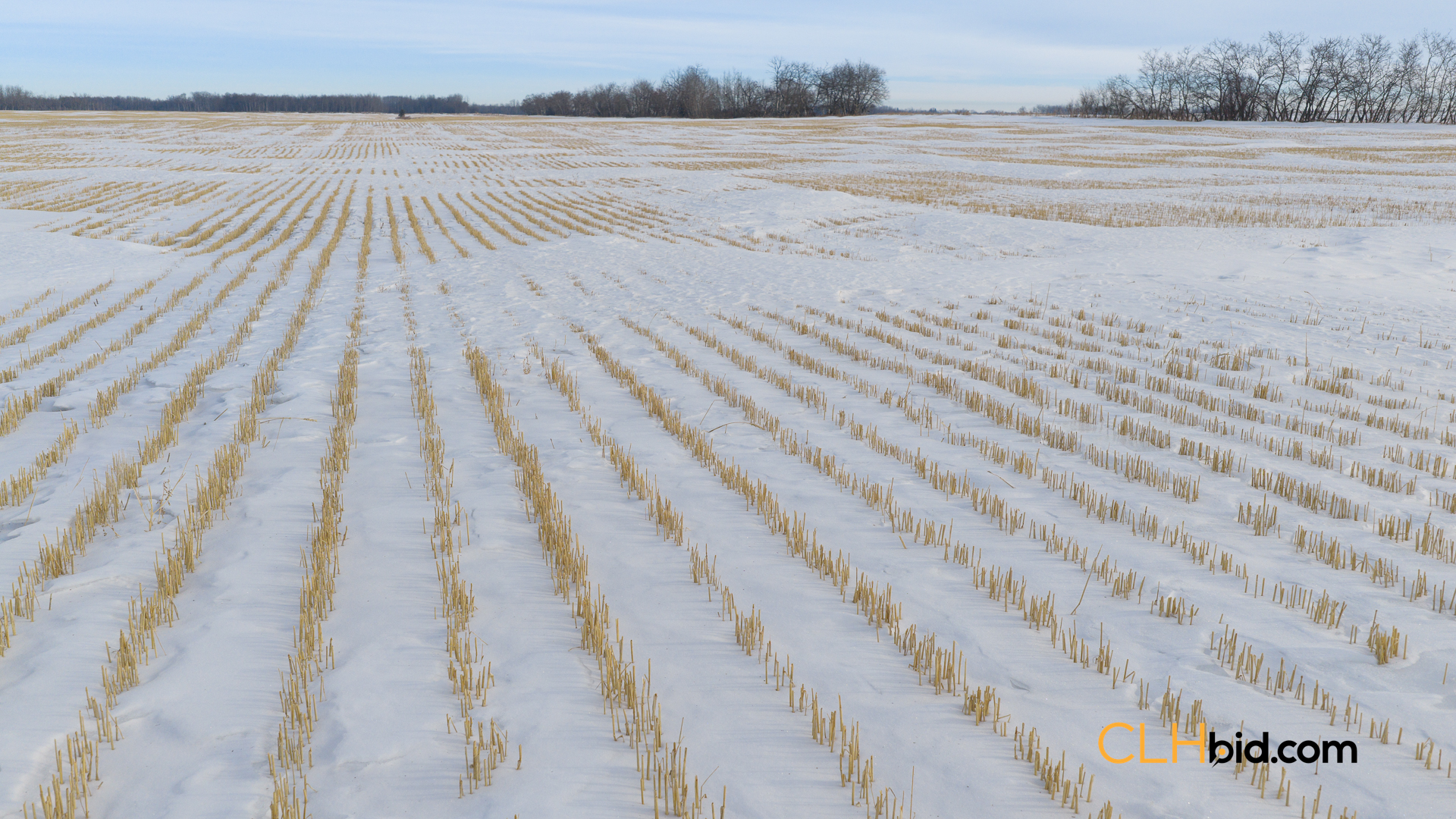 New Norway Tramway - Parcel 1