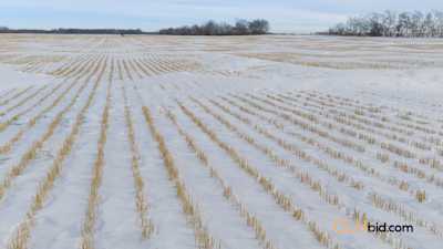 New Norway Tramway - Parcel 1