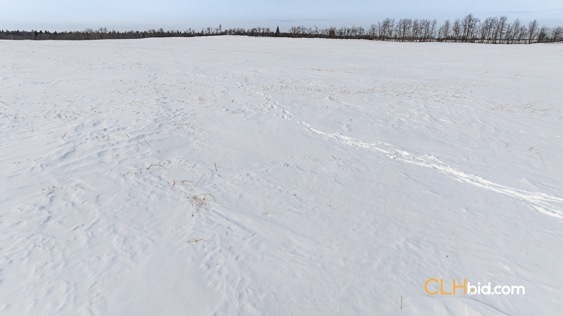 Web-LamontTopGrade-47