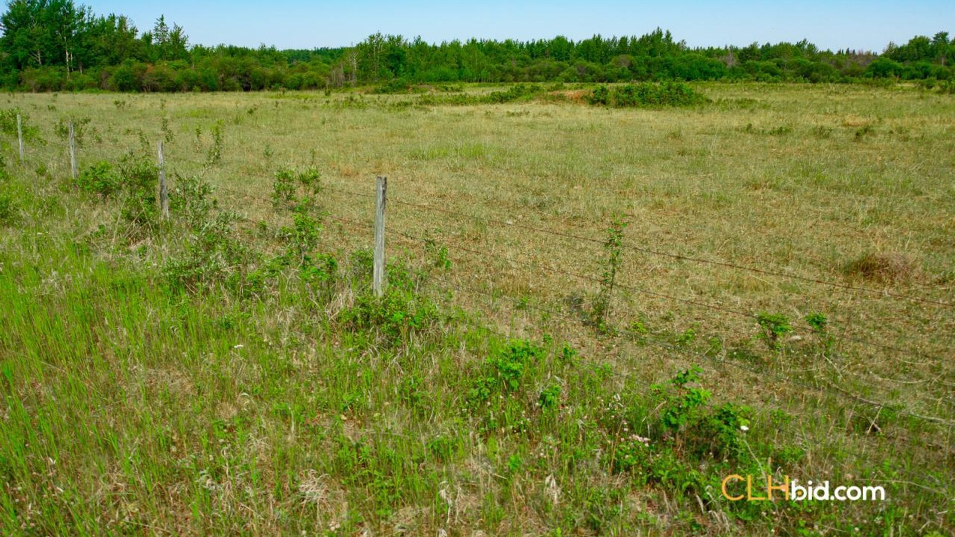 cattledrivecountry-2-3