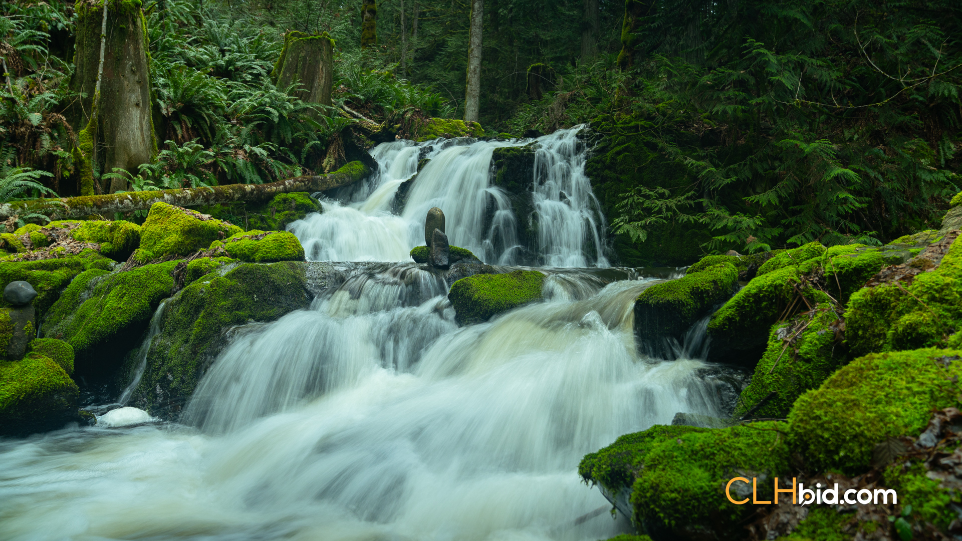The Olive Farm - Parcel 1