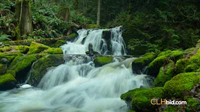 The Olive Farm - Parcel 1