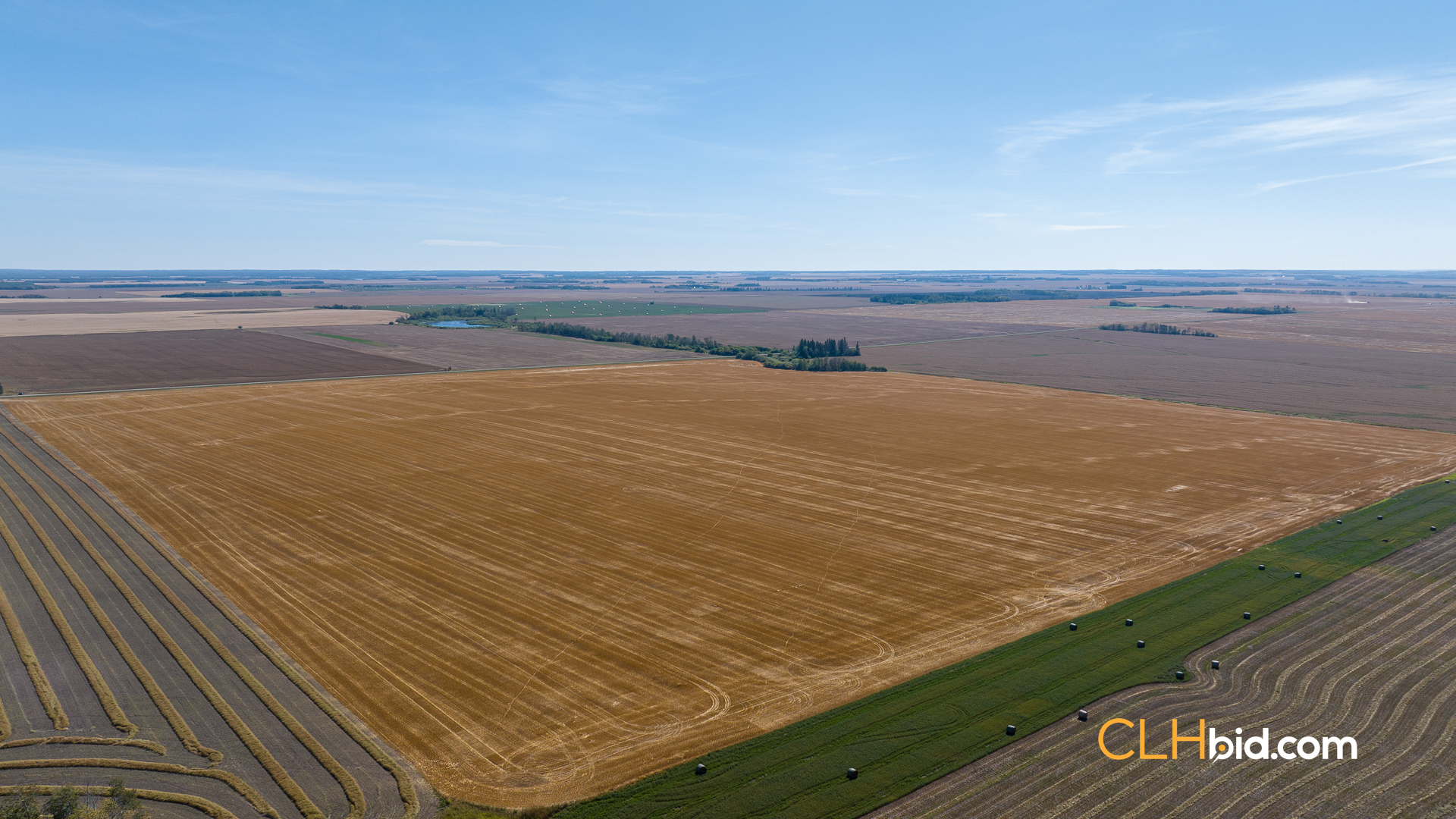 Web-Tisdale-Titan-12