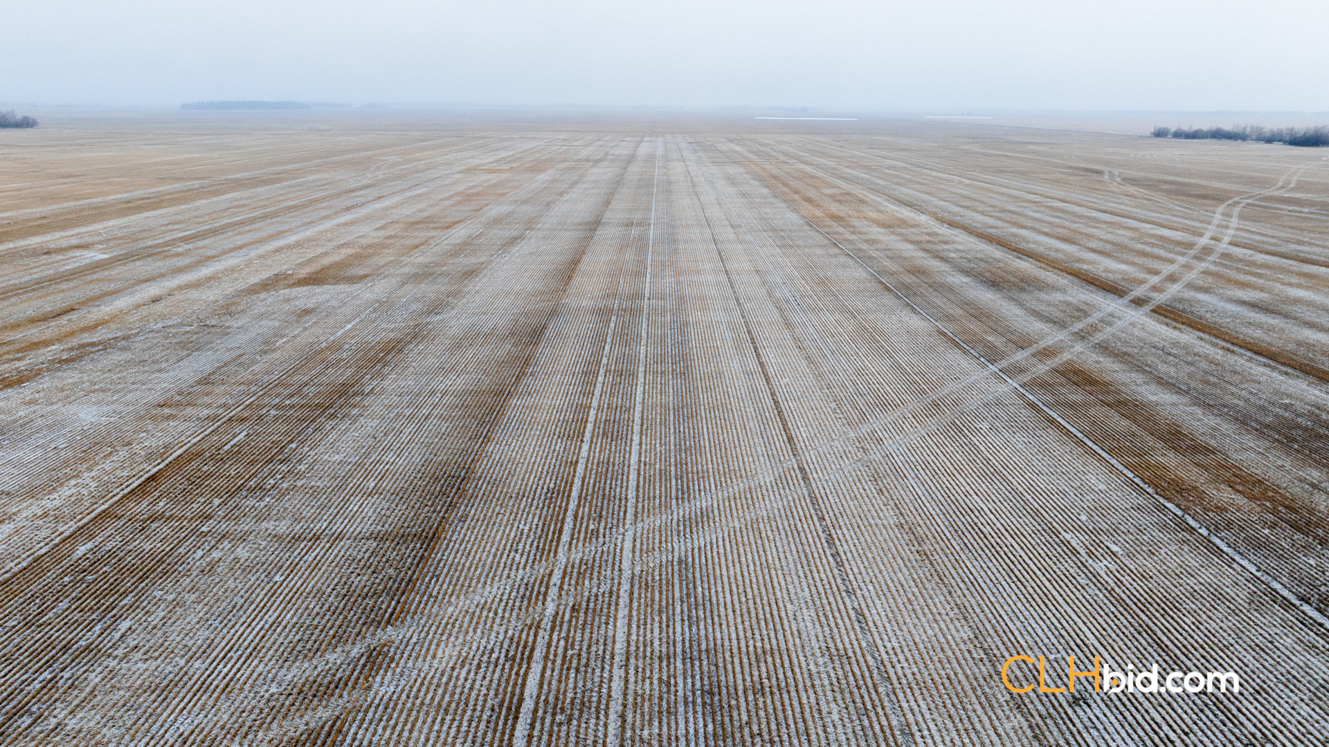 Web Tangent Bounty-3