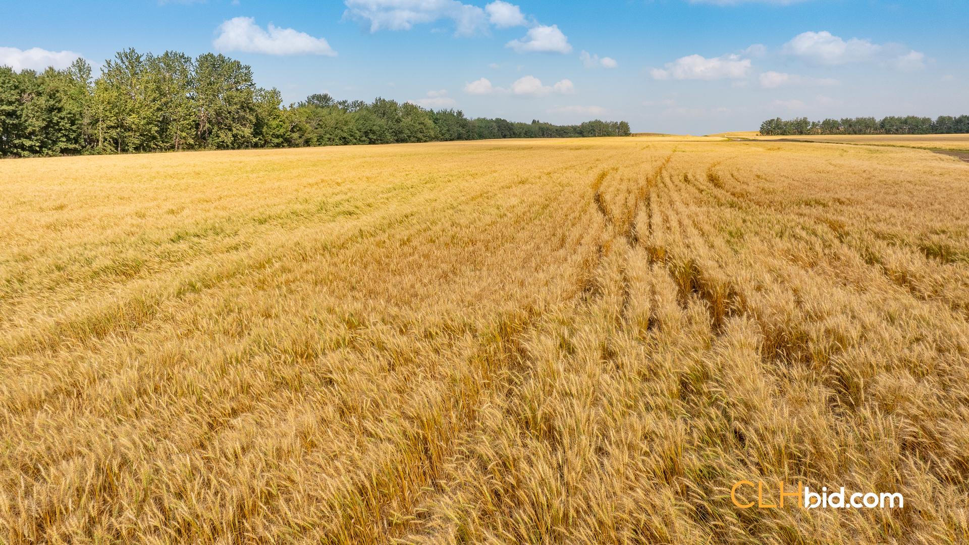 Web-CountyLineInvestor-12