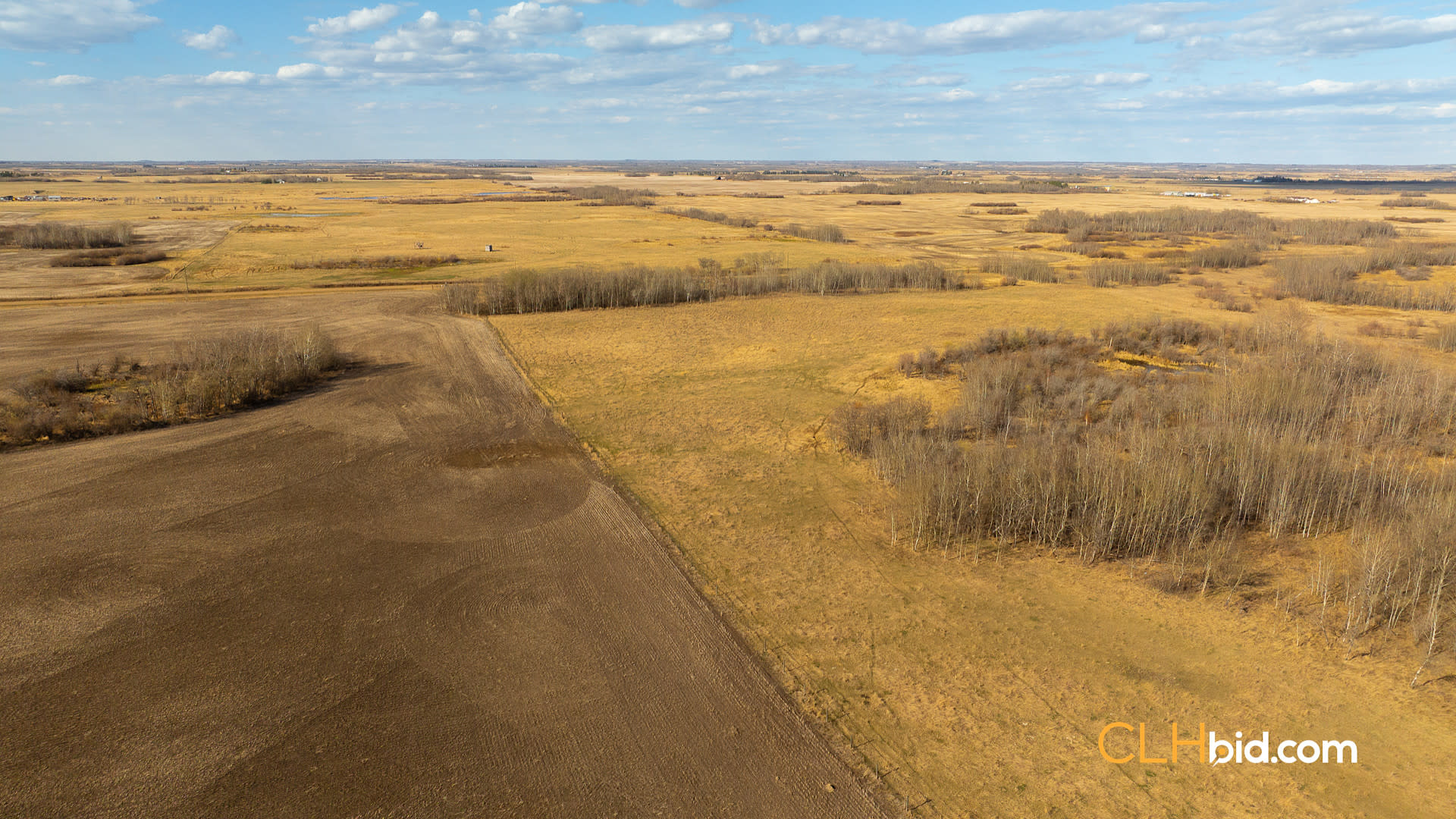 Web-RossCreekProspector-4