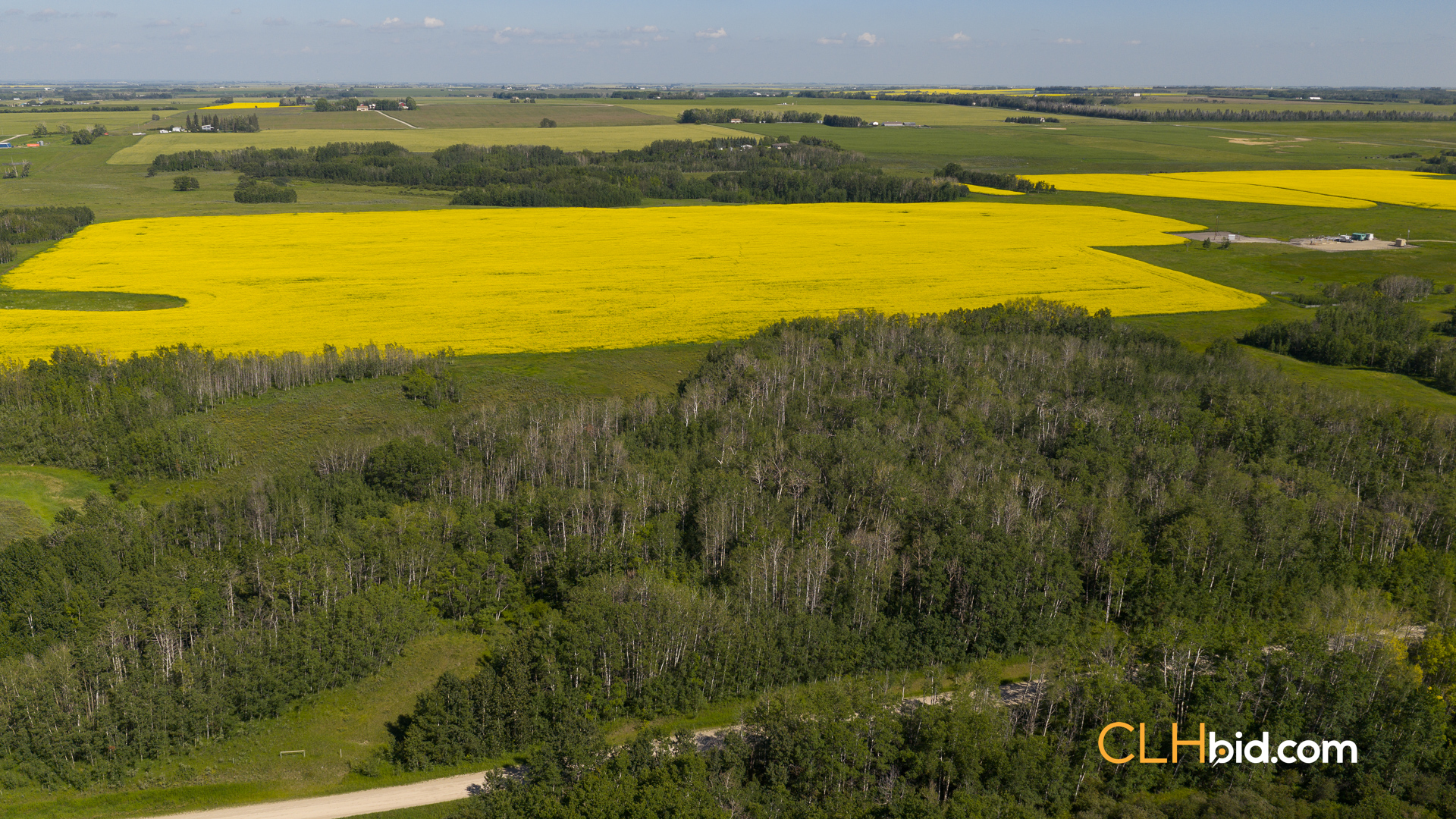 Web-FoothillsHeadliner-13