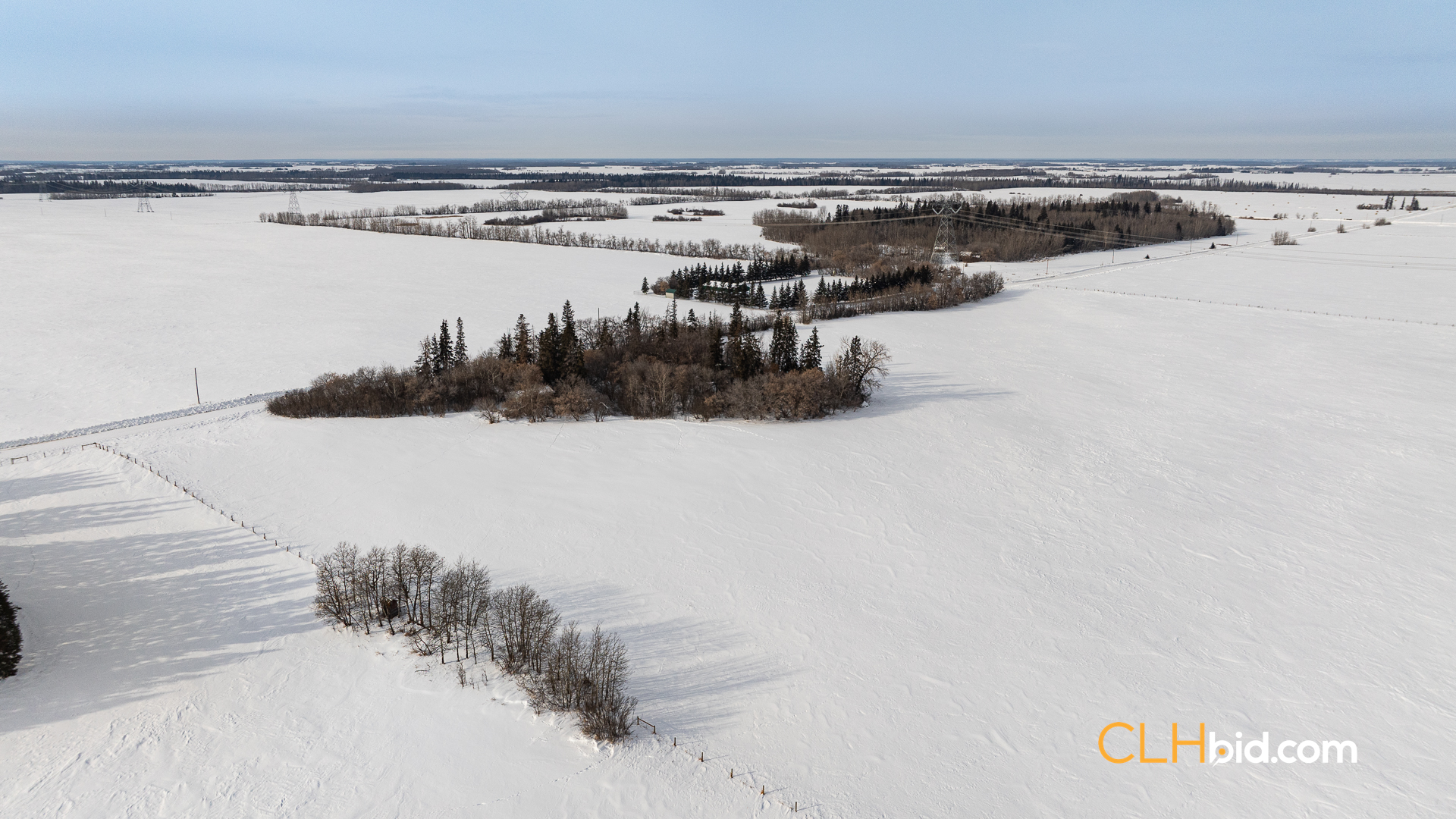 Web-LamontTopGrade-35