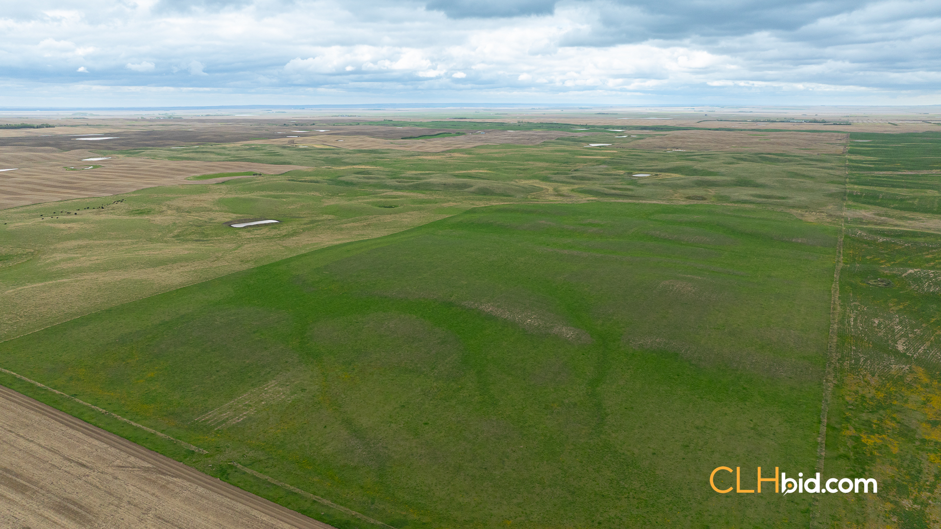 Web-LegacyMoveNEW-40