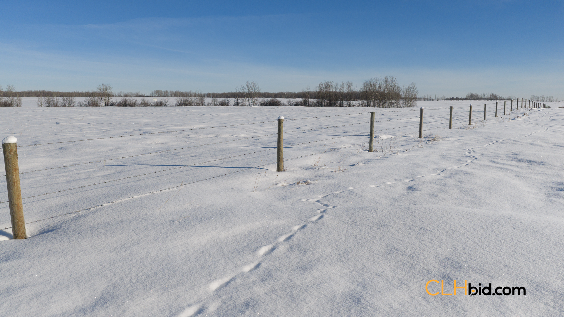 Web-DraytonCorridor-17