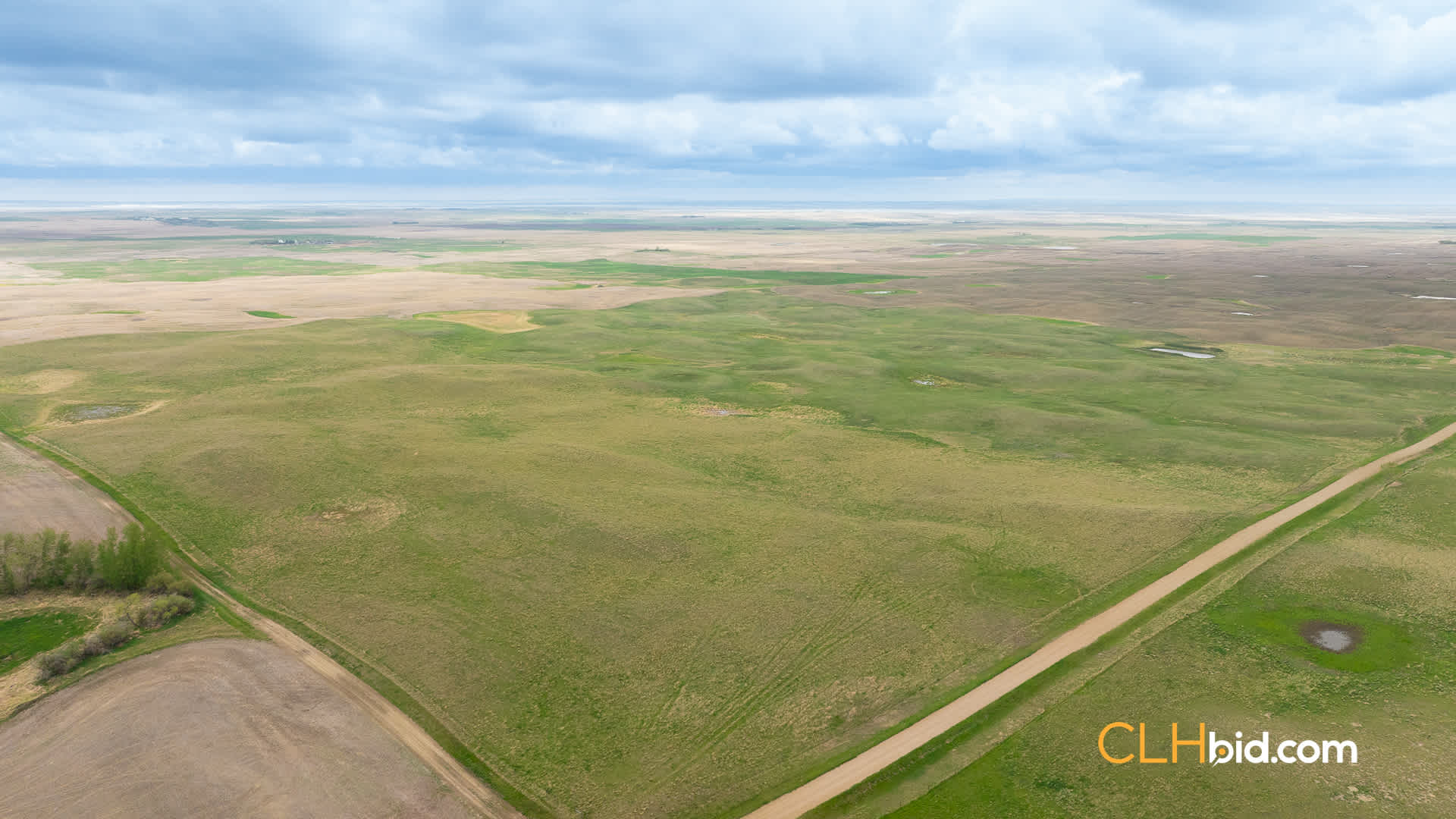 Web-LegacyMoveNEW-11